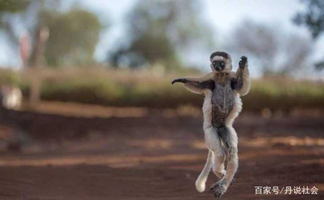 1581768884101219.jpeg 5.jpeg