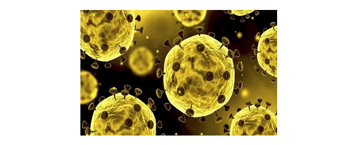 1582854418688250.png 边框.png