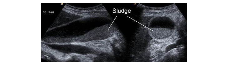 1584411666373214.png 图片.png