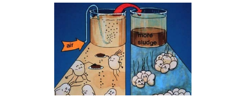 1584411692909950.png 图片.png